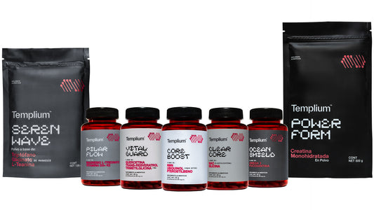 PROTOCOLO TEMPLIUM (Full Stack)