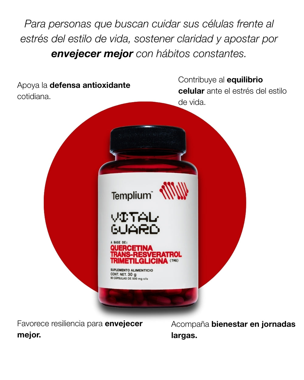 VITAL GUARD (Quercetina, TMG, Trans-Resveratrol)