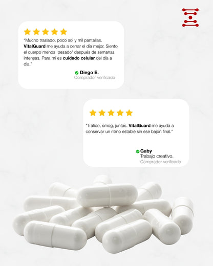 VITAL GUARD (Quercetina, TMG, Trans-Resveratrol)