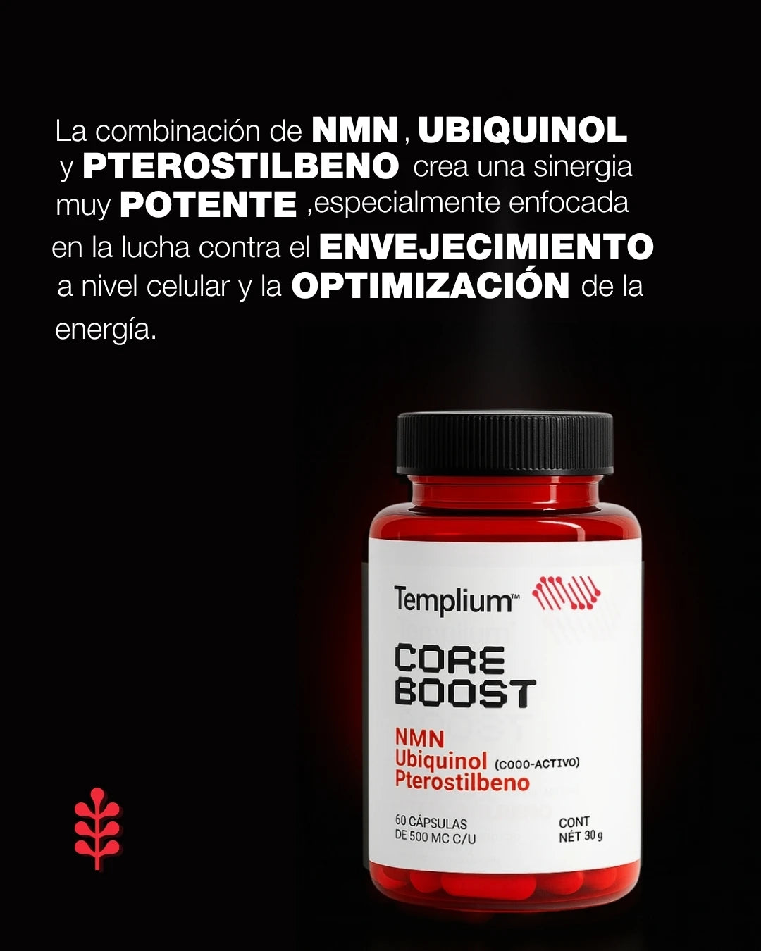CORE BOOST (NMN, Ubiquinol, Pterostilbeno)
